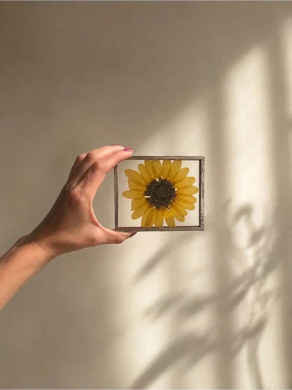 Botanical sunflower frame
